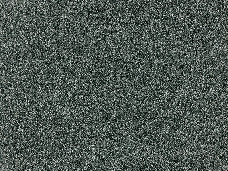 Embrace Carpet