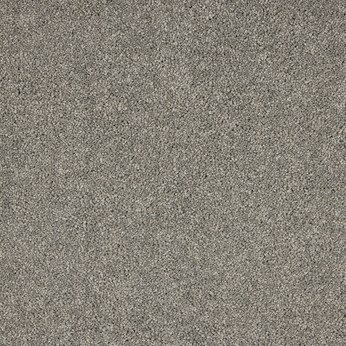 Opulent Living Carpet