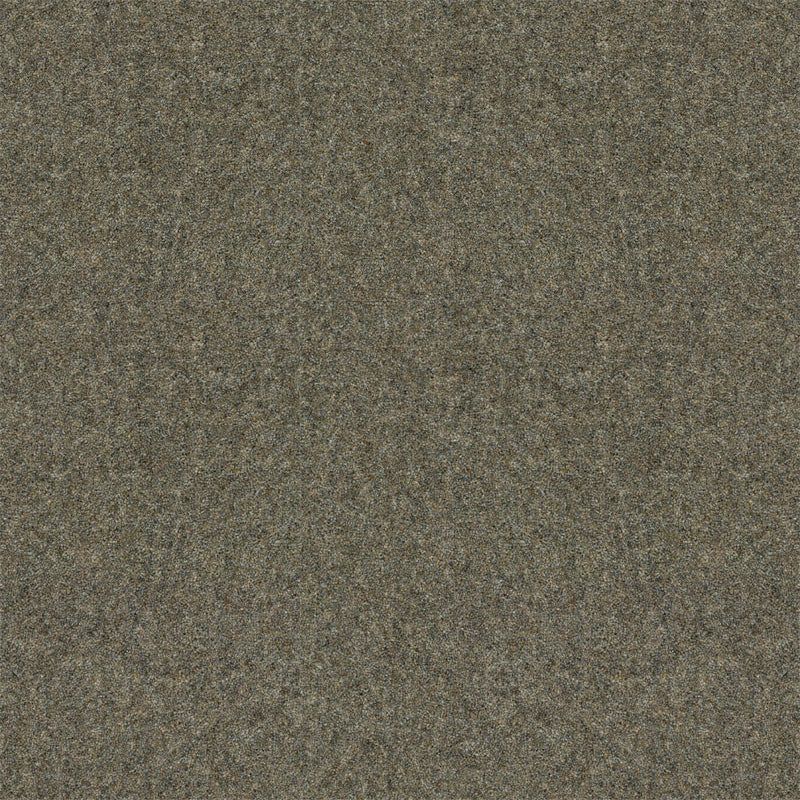 Spectrum Twist Classic 42oz Carpet
