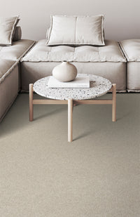 Chic Carpet