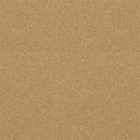 Spectrum Twist Classic 42oz Carpet