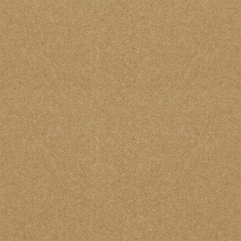 Spectrum Twist Regal 53oz Carpet