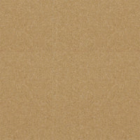 Spectrum Twist Regal 53oz Carpet