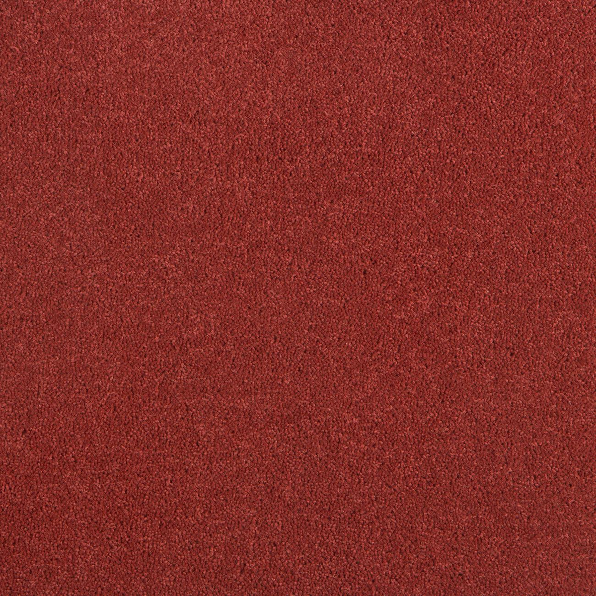 Rigoletto 50oz Carpet