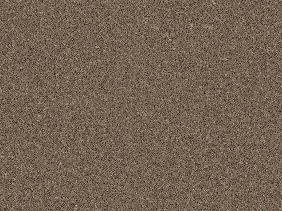 Elegante Carpet