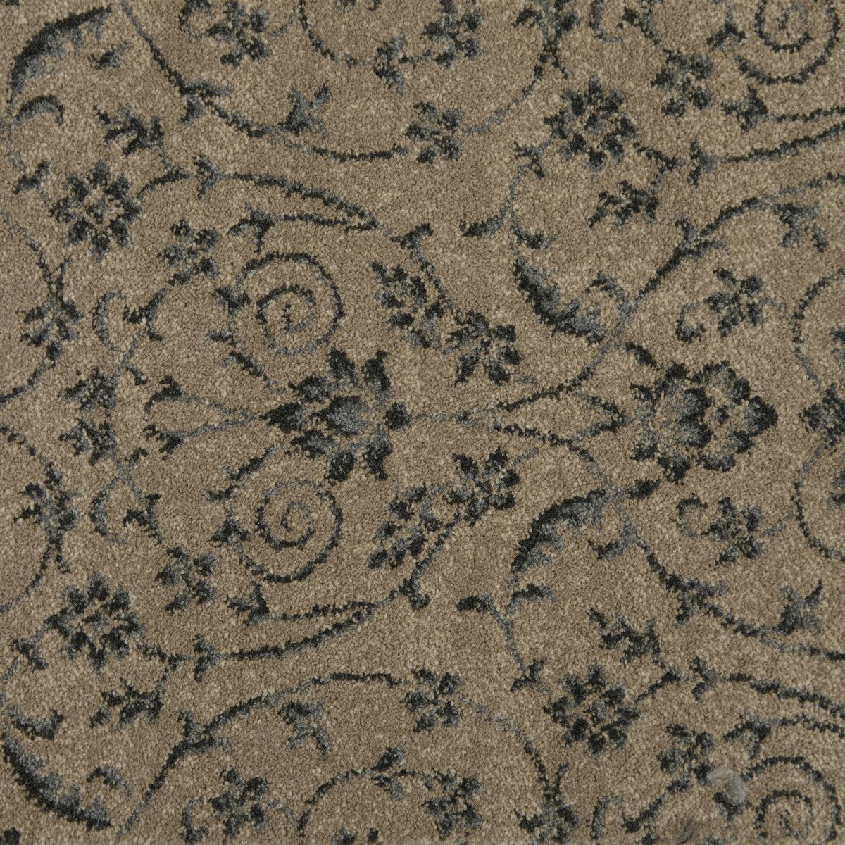 Barrisdale Bay Carpet