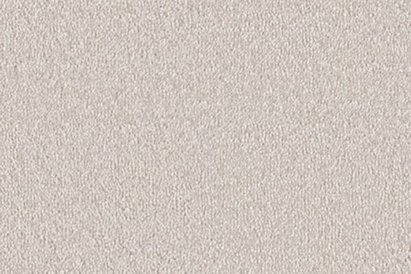 Delight Carpet
