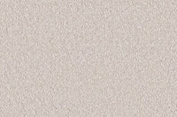 Delight Carpet