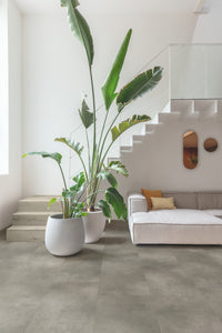 Cloudy Concrete