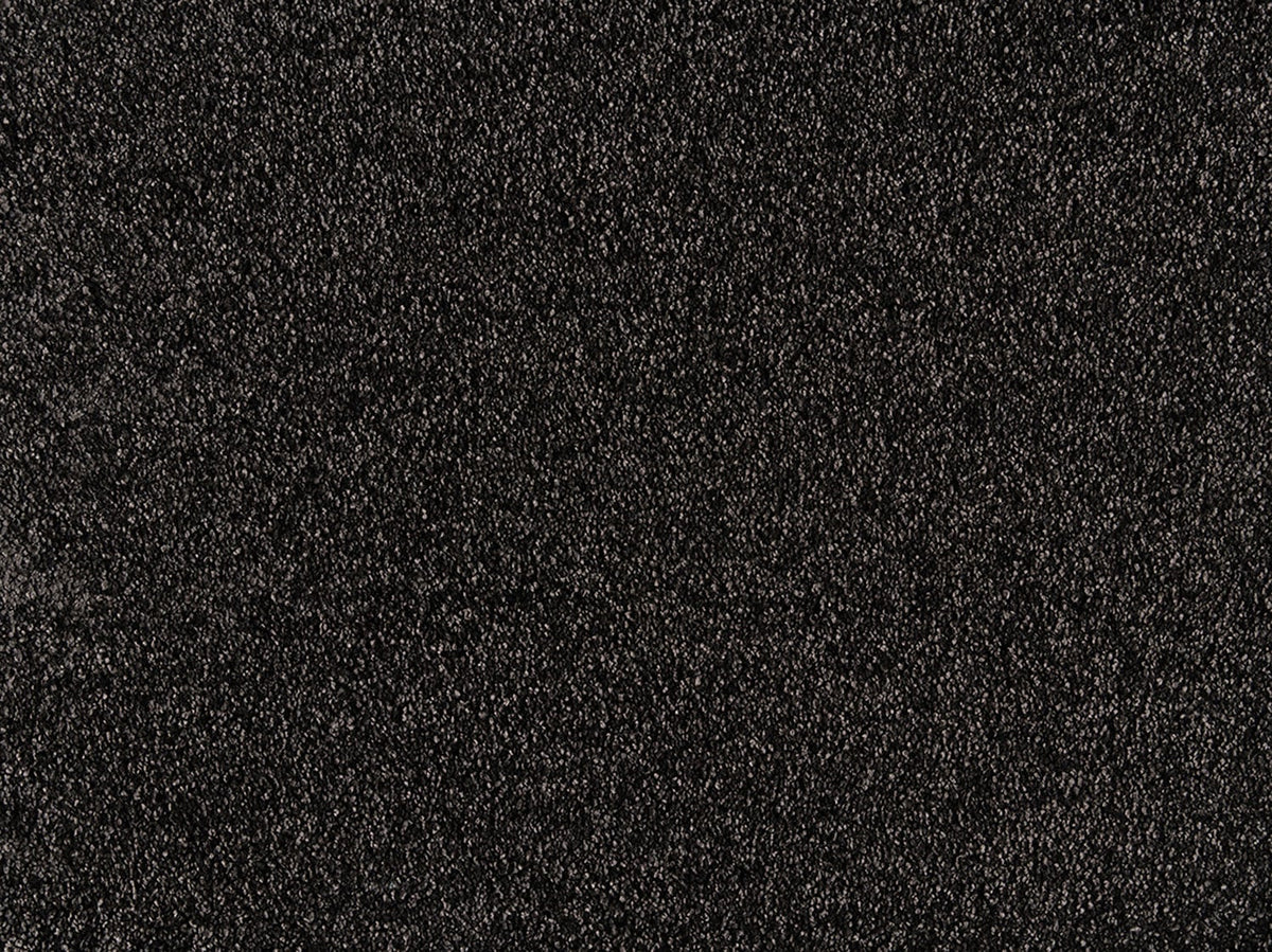 Embrace Carpet
