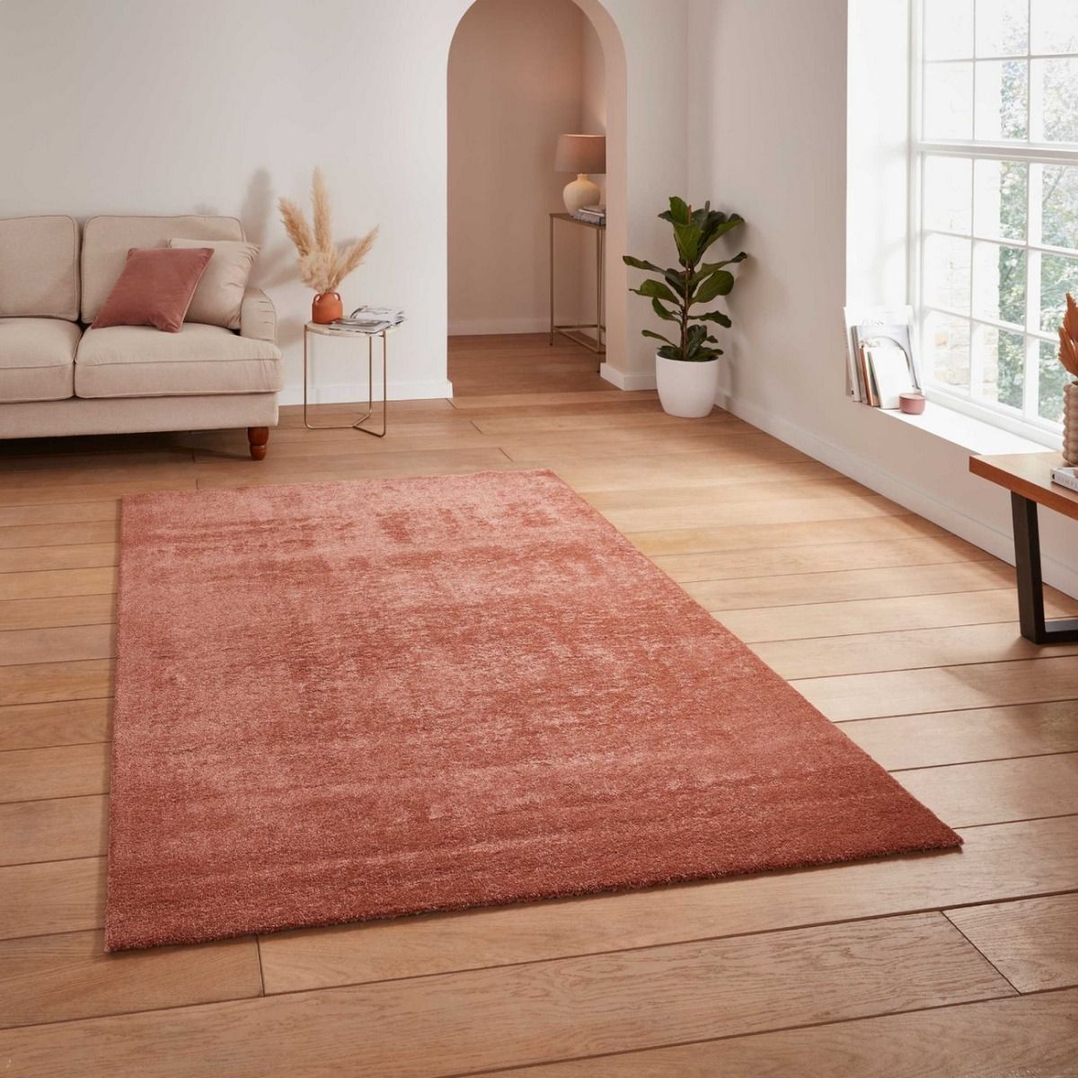 Cove Rug Collection