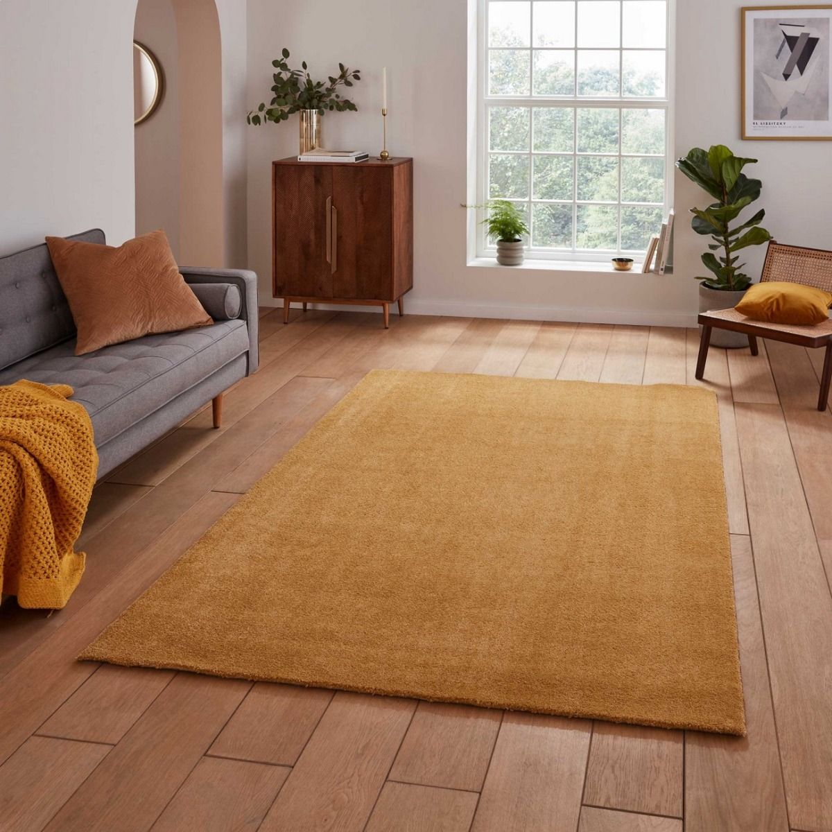 Cove Rug Collection