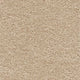 Sirius Carpet