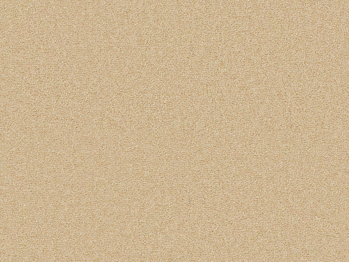 Terra Rosa Carpet
