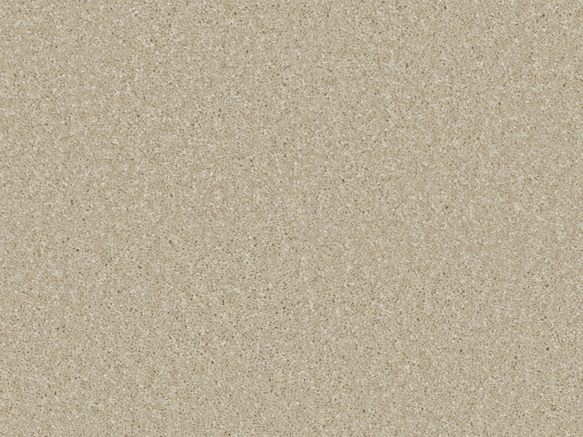 Elegante Carpet