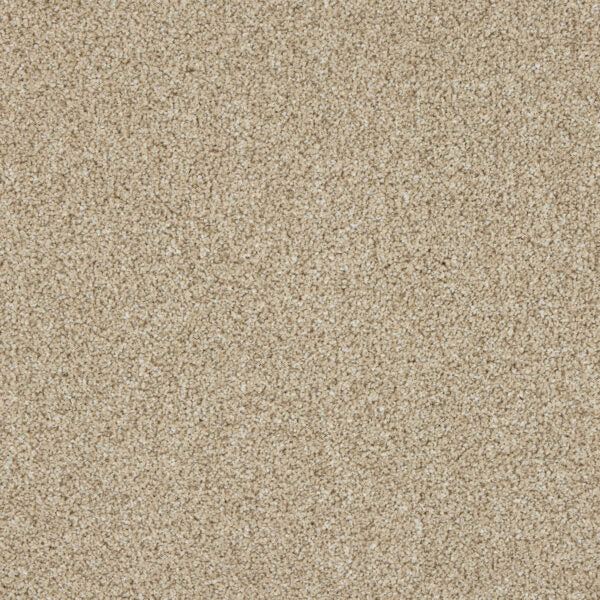 Westbourne Berber Carpet