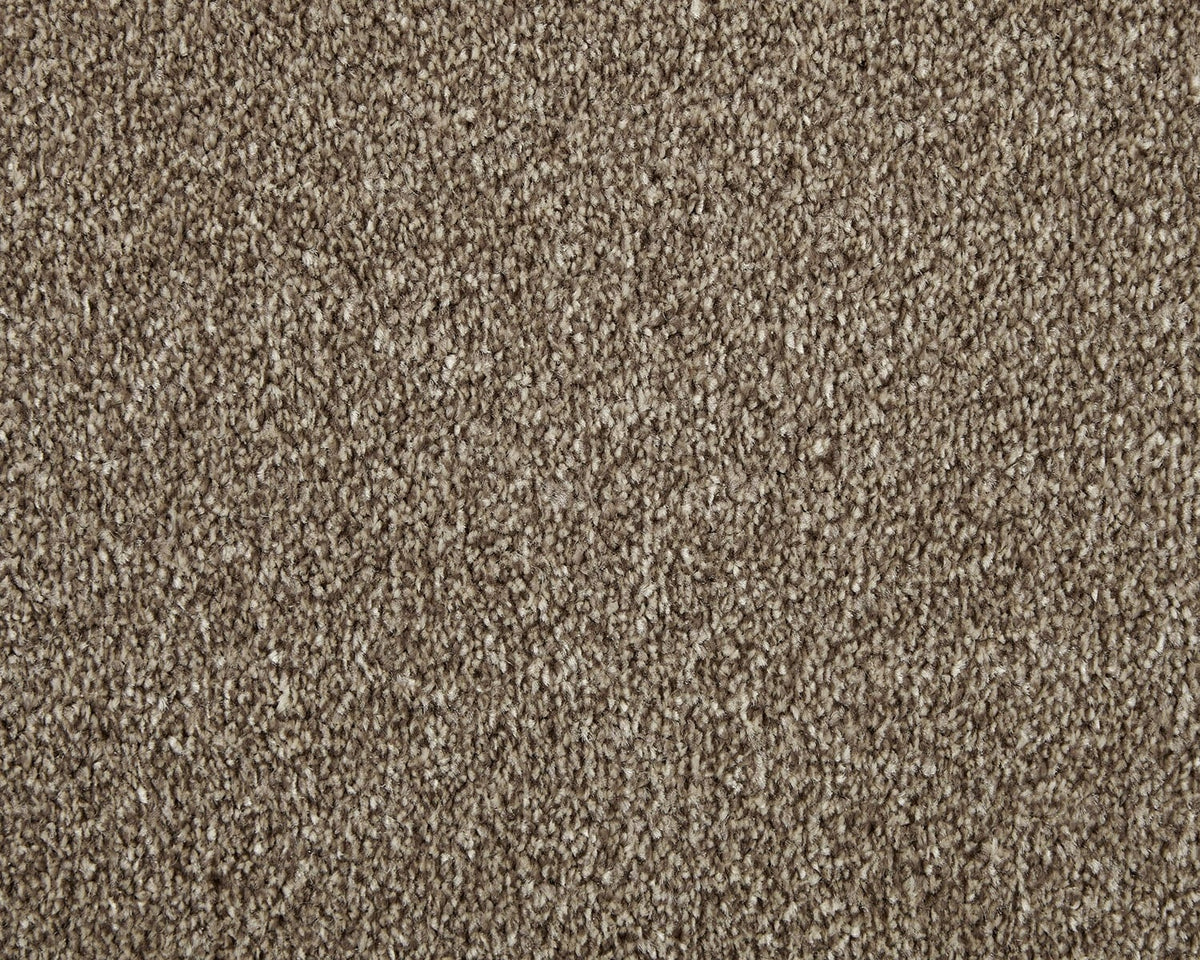 Trojan Elite Carpet