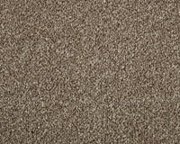 Trojan Elite Carpet