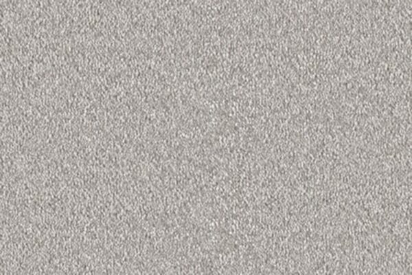 Delight Carpet