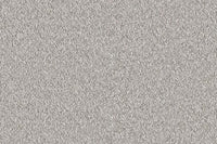 Delight Carpet