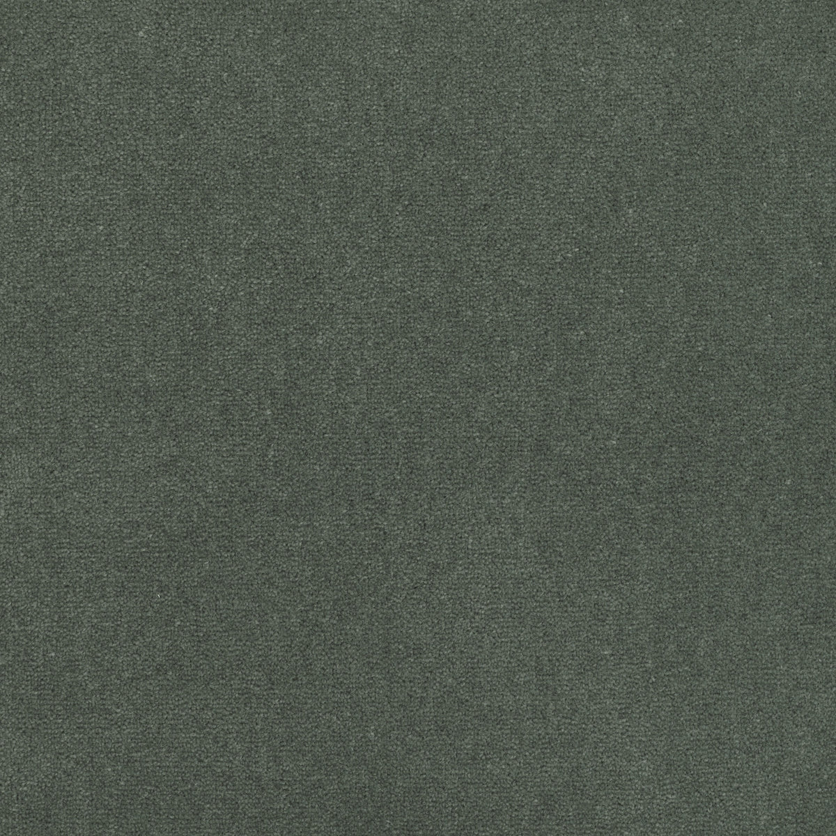 Royal Velvet Carpet