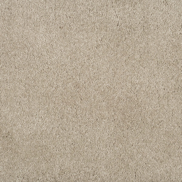 Magical Feeling Carpet