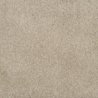 Magical Feeling Carpet