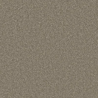 Hawkstone Carpet