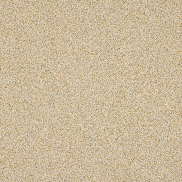 Westbourne Berber Carpet