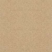 Spectrum Twist Classic 42oz Carpet
