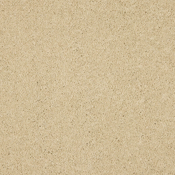Seduction Carpet