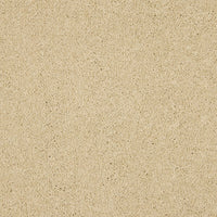 Seduction Carpet