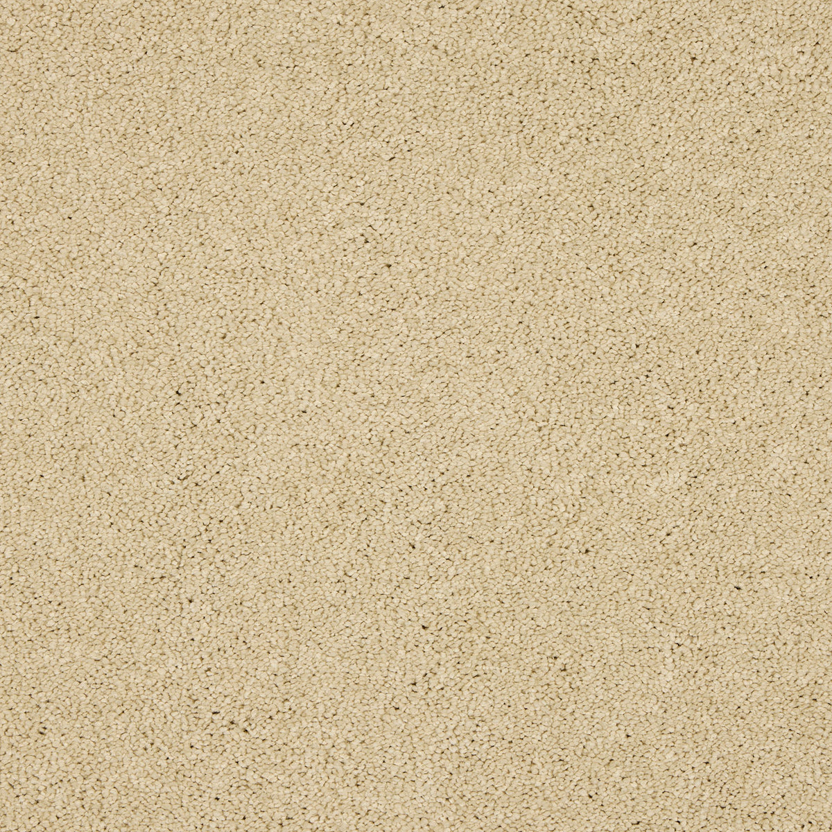 Opulent Living Carpet