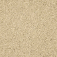 Opulent Living Carpet