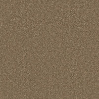 Hawkstone Carpet