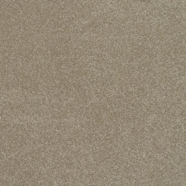 Pinnacle Carpet
