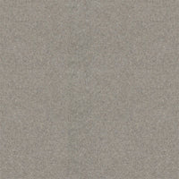 Spectrum Twist Classic 42oz Carpet
