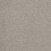 Invictus Darius 50oz Carpet