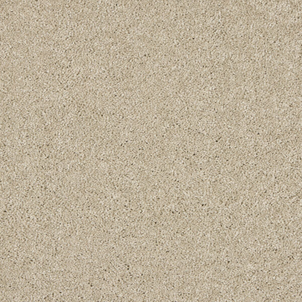 Seduction Carpet