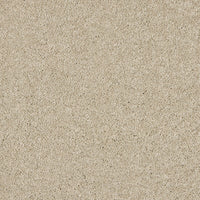 Seduction Carpet