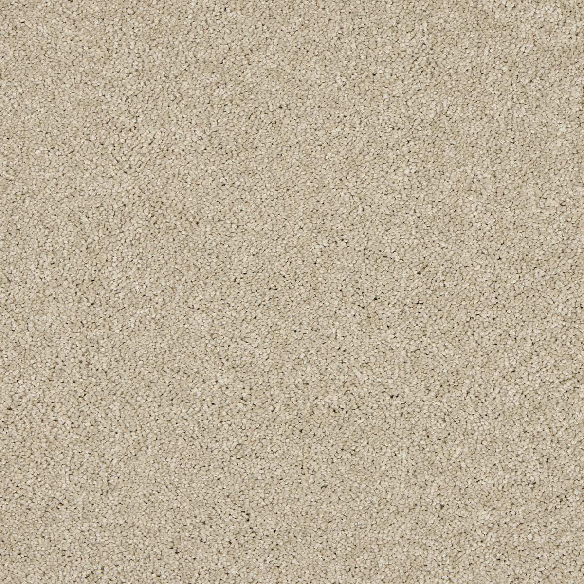 Opulent Living Carpet