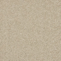 Opulent Living Carpet