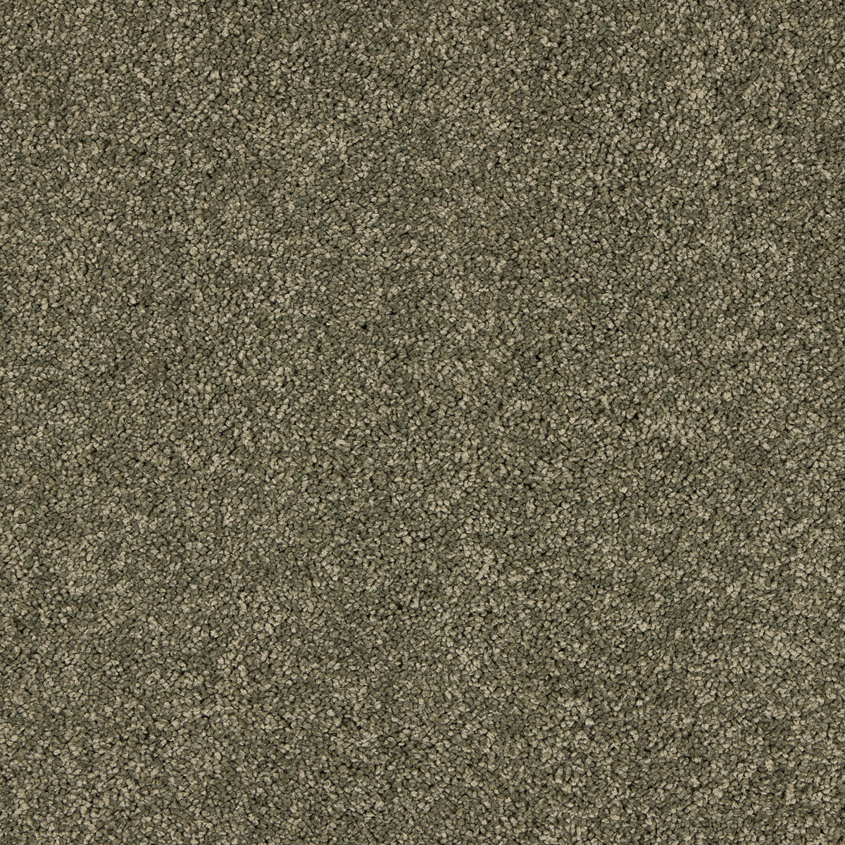 Seduction Carpet