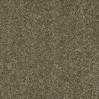 Seduction Carpet