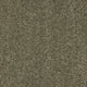 Seduction Carpet
