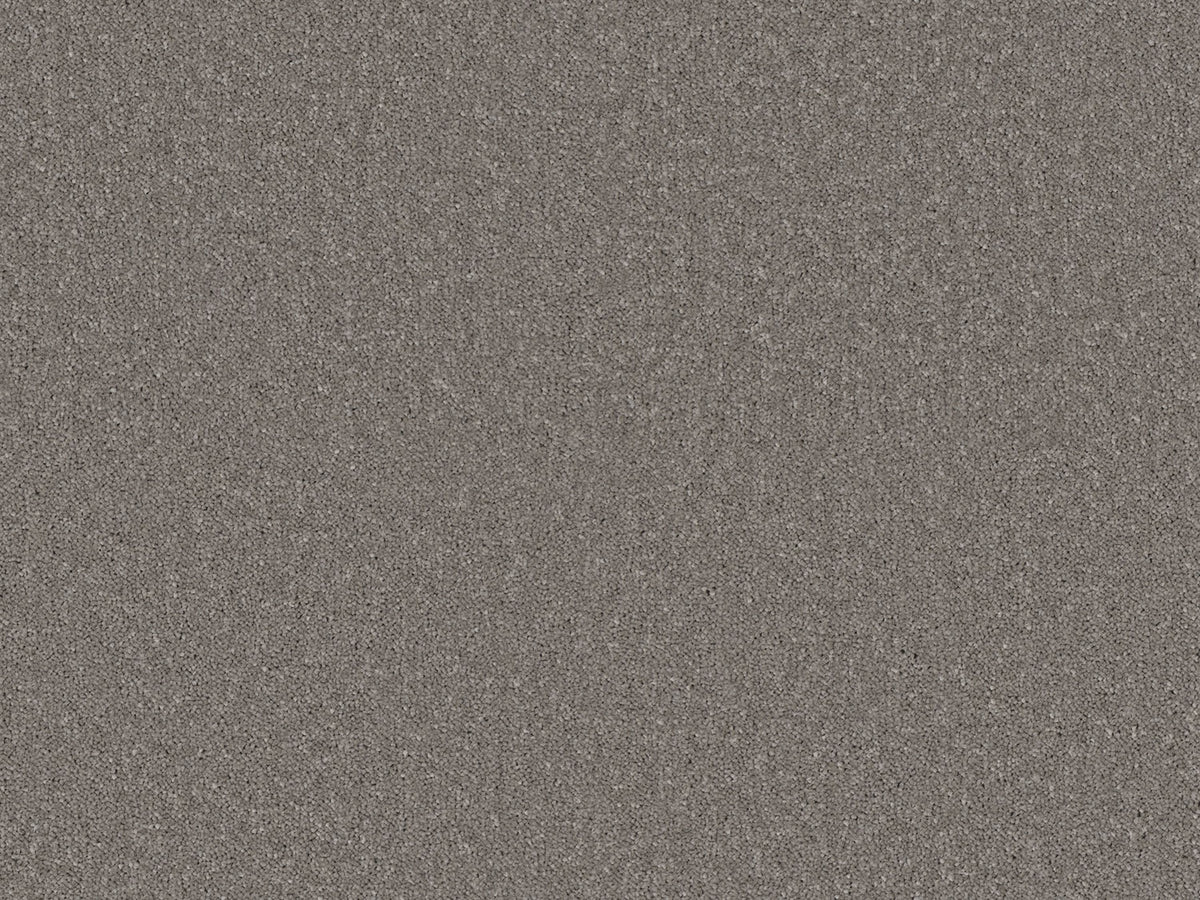 Chic Carpet