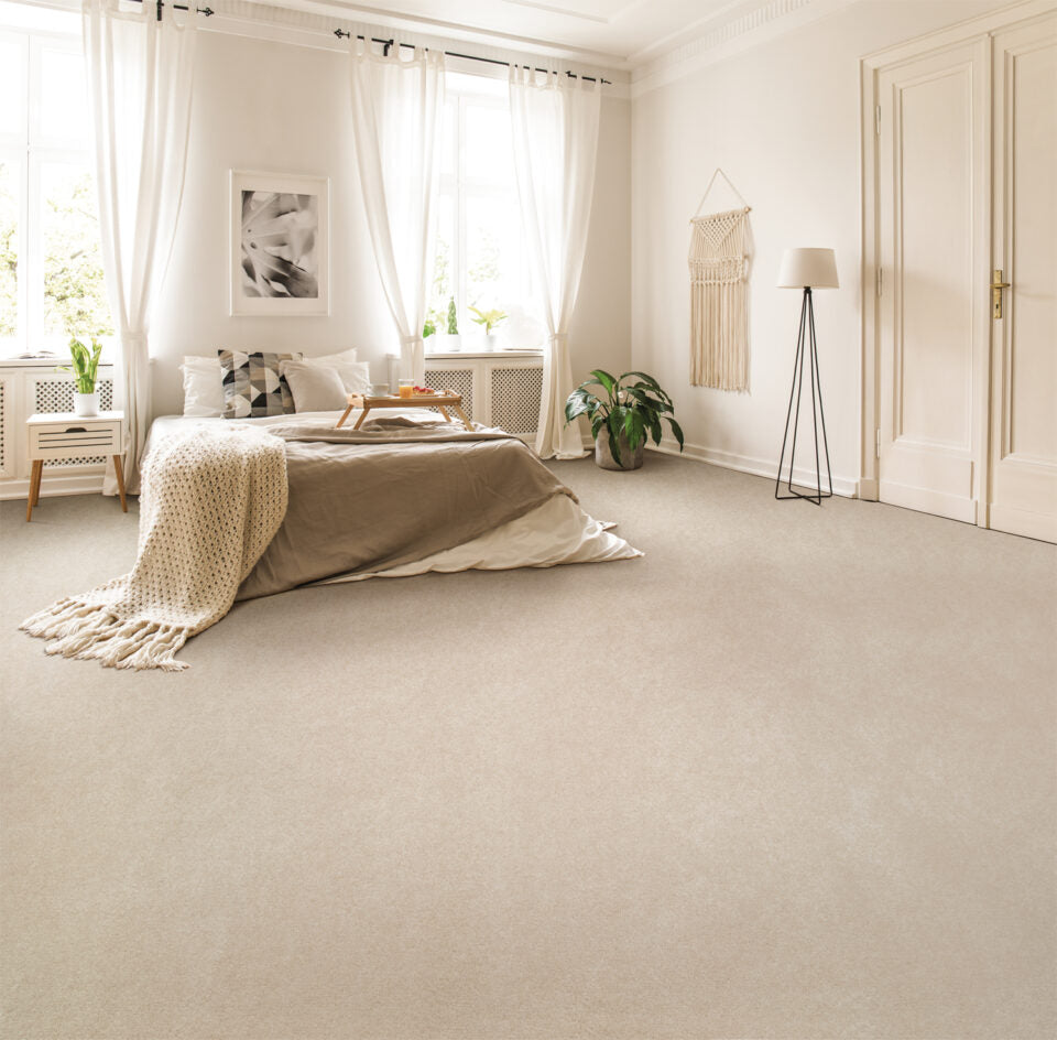 Magical Feeling Carpet