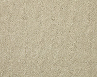 Trojan Elite Carpet