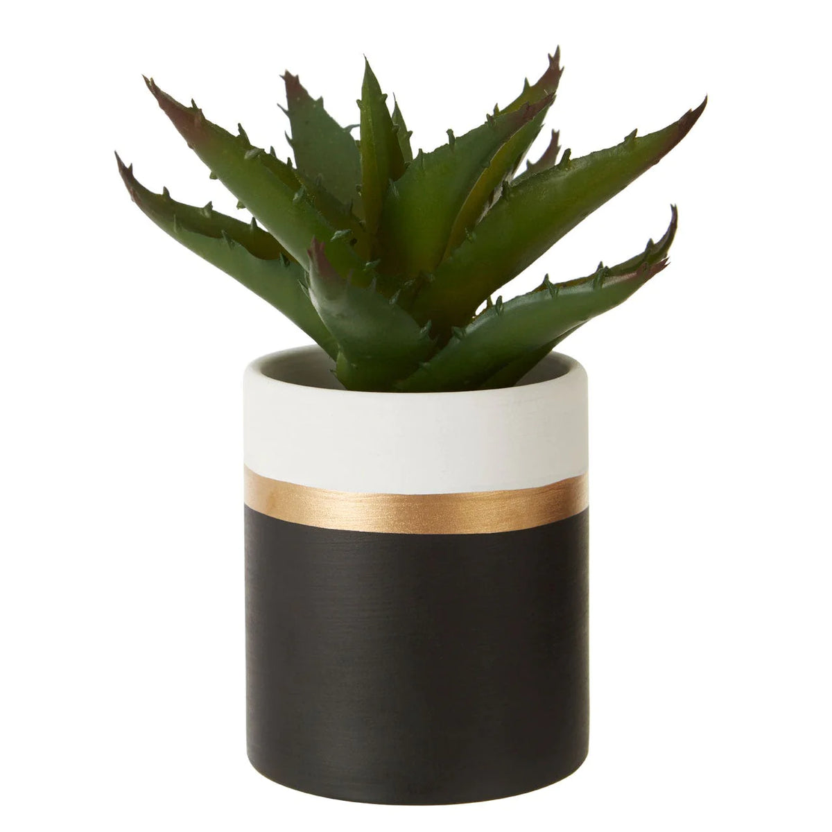 Set of 3 Succulents in Black Pots
