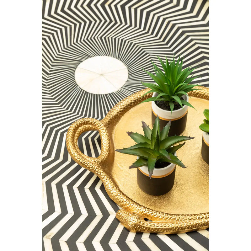 Set of 3 Succulents in Black Pots